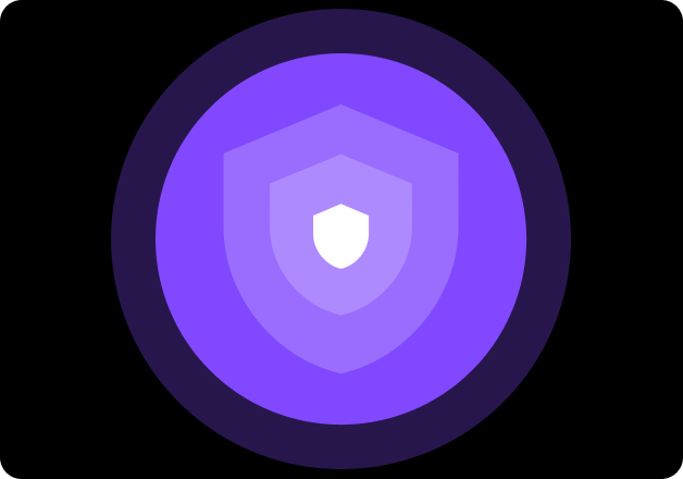 Protect IP data